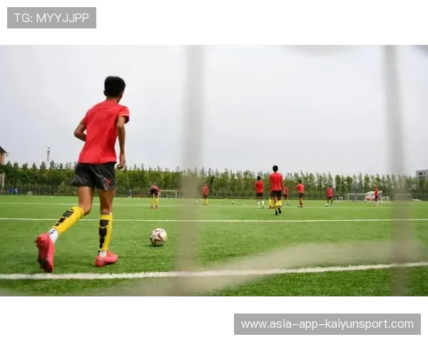 青训体系是否鼓励跨校跨地联合开展实战演练，青训训练